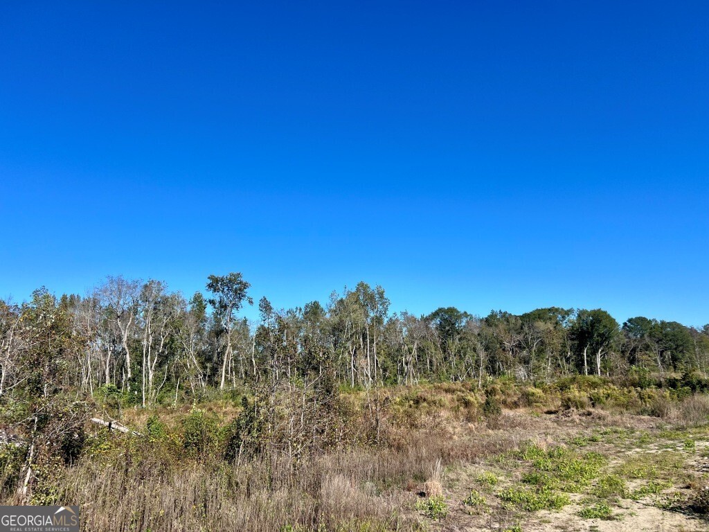 0 Bowen Hill Road Portal, GA 30450 - Photo 16 of 27 a view of a dry yard with trees in the background