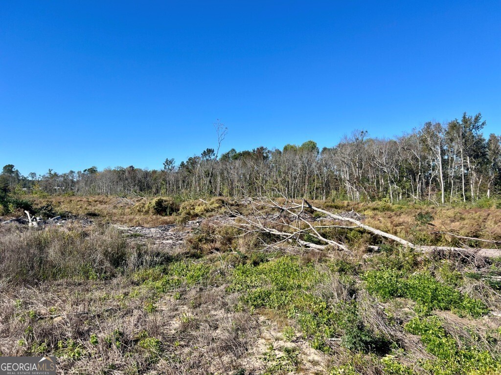 0 Bowen Hill Road Portal, GA 30450 - Photo 17 of 27 a view of a field with a tree in the background