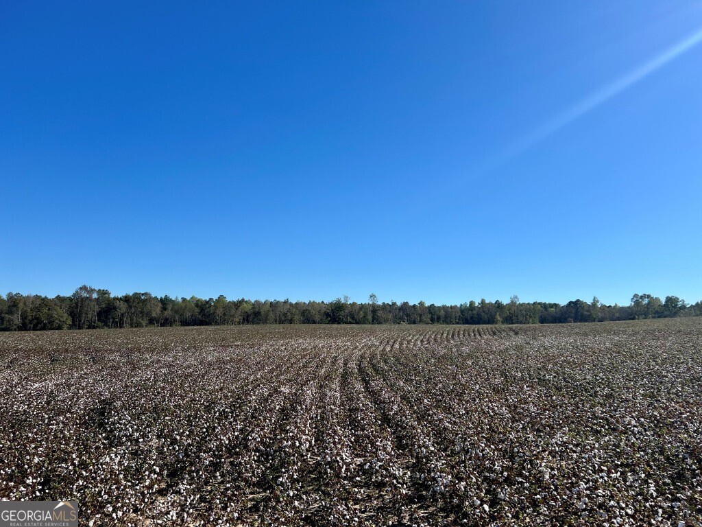 0 Bowen Hill Road Portal, GA 30450 - Photo 18 of 27 a view of lake and trees