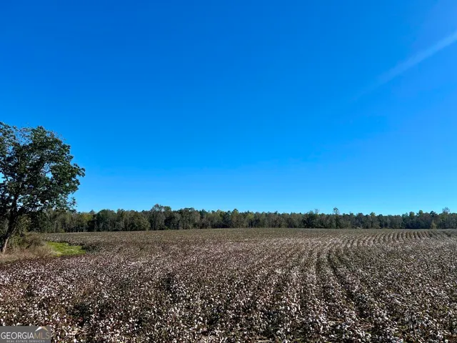 a view of a field with trees in background