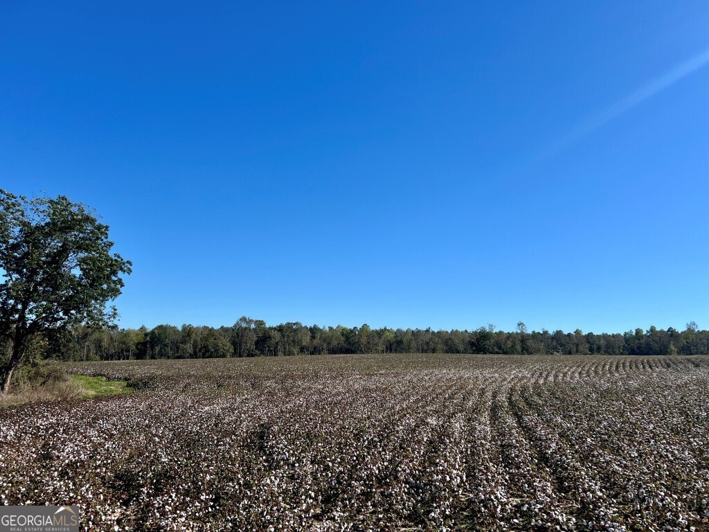 0 Bowen Hill Road Portal, GA 30450 - Photo 20 of 27 a view of lake and mountain