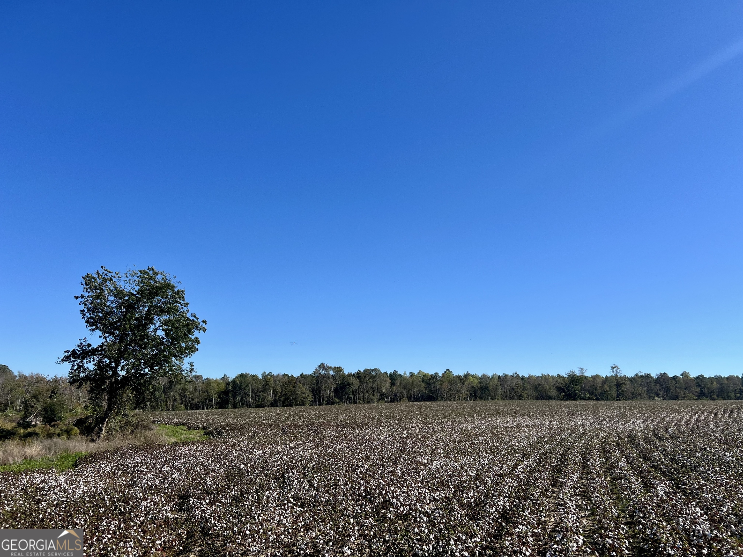 0 Bowen Hill Road Portal, GA 30450 - Photo 2 of 27 a view of mountain with lake view