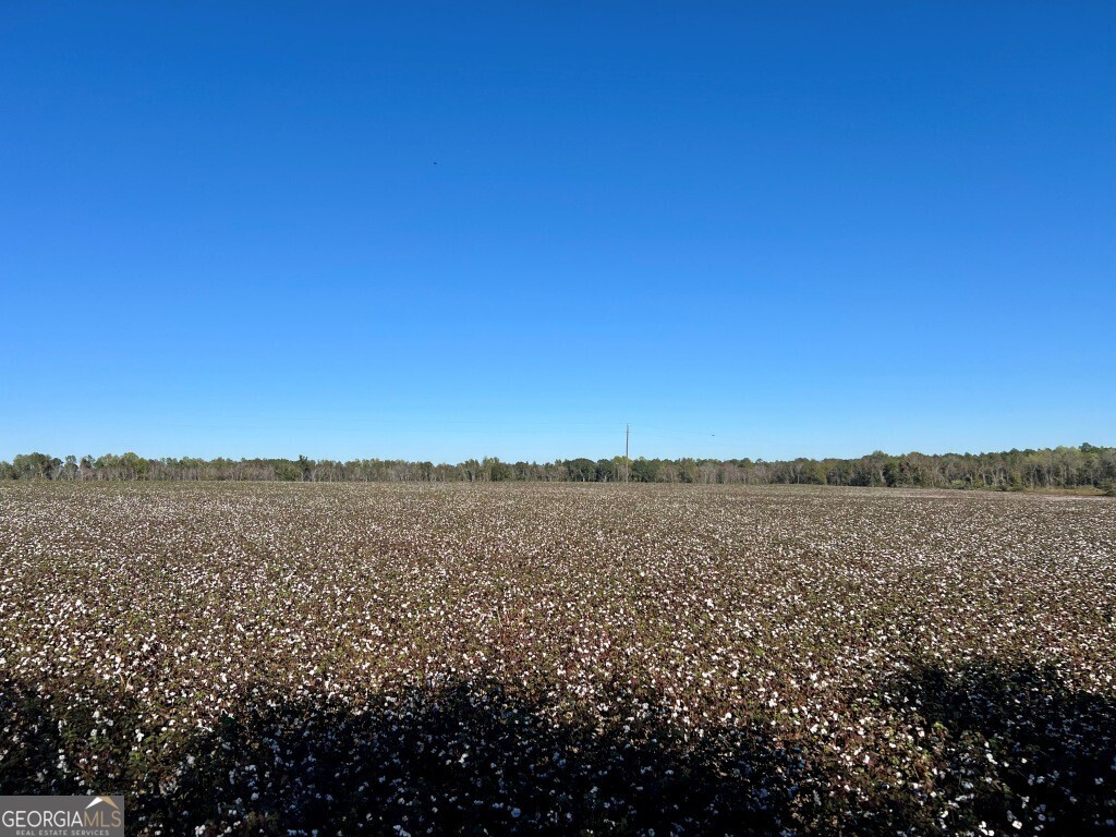 0 Bowen Hill Road Portal, GA 30450 - Photo 23 of 27 a view of an ocean
