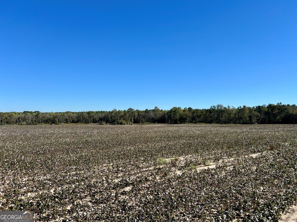 0 Bowen Hill Road Portal, GA 30450 - Photo 26 of 27 a view of lake