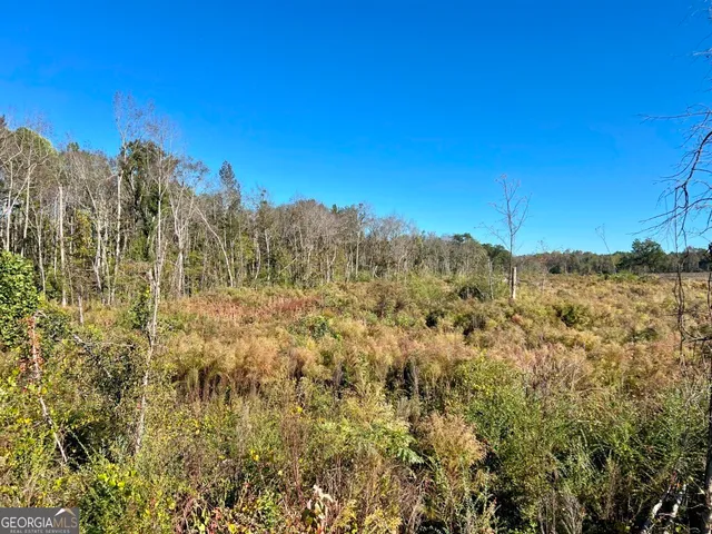 $549,900 | 0 Bowen Hill Road, Portal, GA 30450