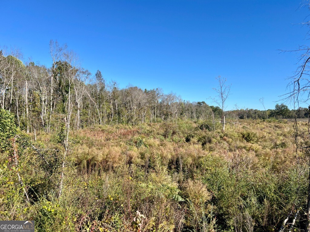 0 Bowen Hill Road Portal, GA 30450 - Photo 27 of 27 a view of a large yard with lots of bushes