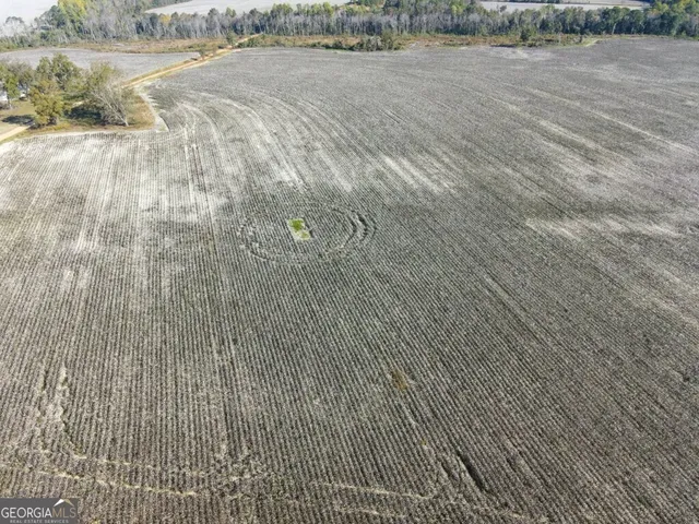 a view of an outdoor space and a yard