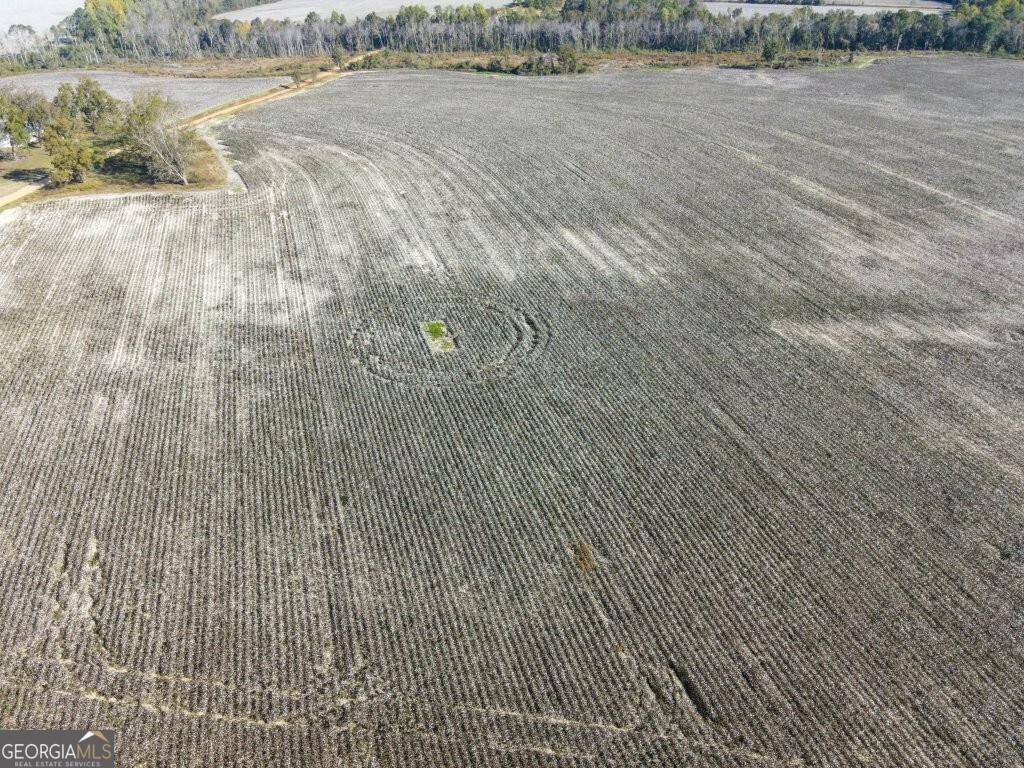 0 Bowen Hill Road Portal, GA 30450 - Photo 3 of 27 a view of an outdoor space and a yard