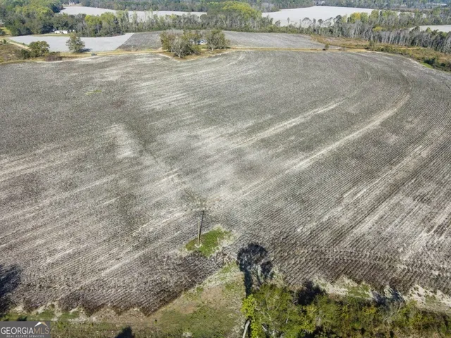 a view of a dry yard with green space