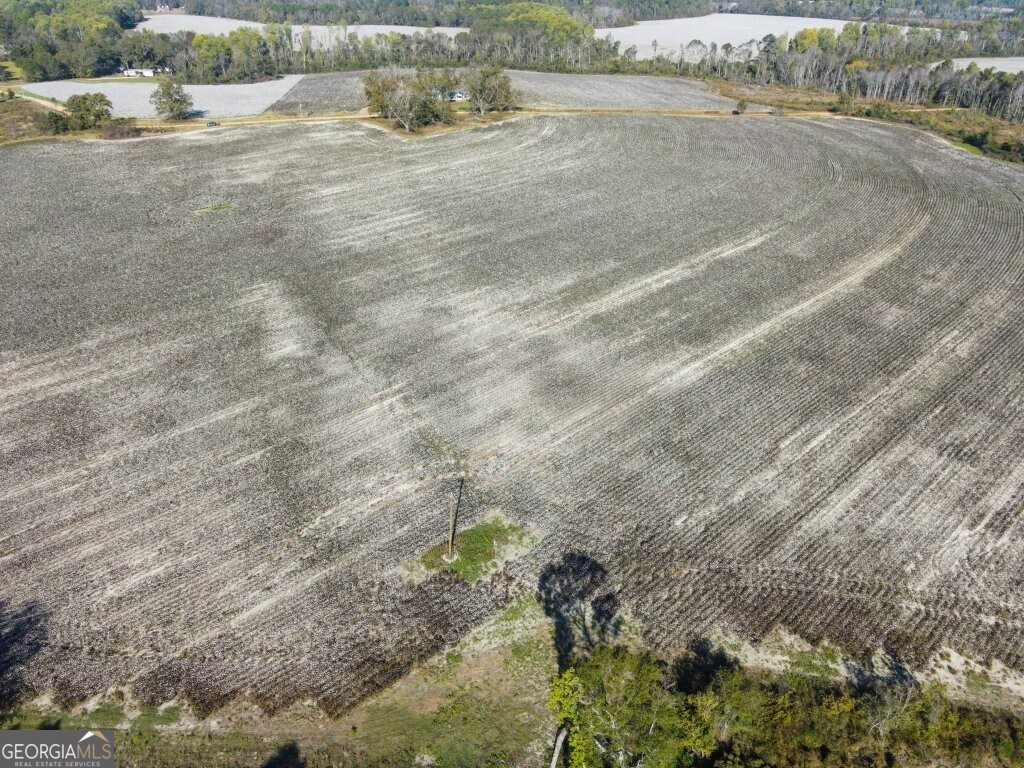 0 Bowen Hill Road Portal, GA 30450 - Photo 5 of 27 a view of a dry yard with green space