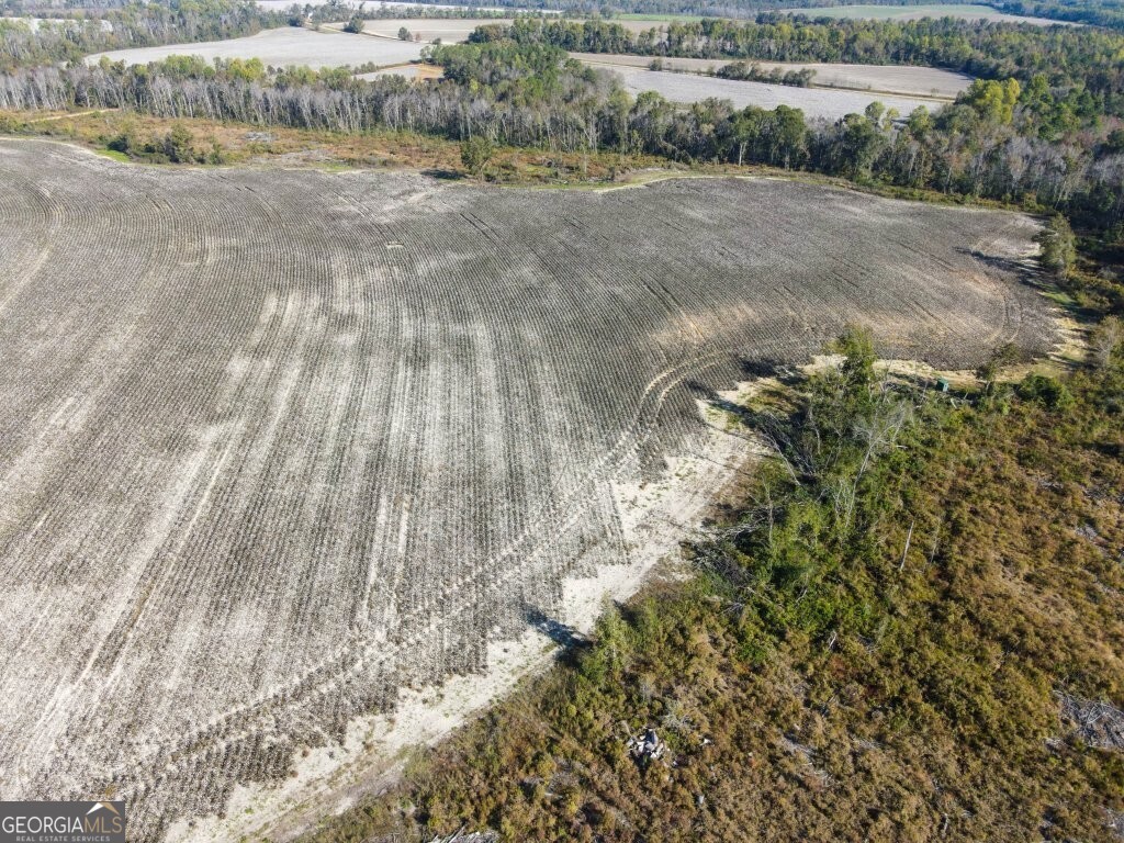 0 Bowen Hill Road Portal, GA 30450 - Photo 6 of 27 a view of a dry yard with wooden fence