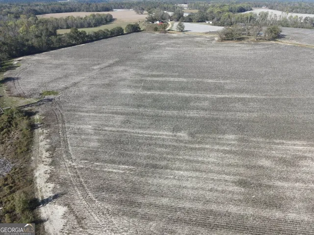 a close up of a plant