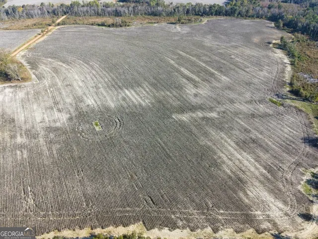 a view of a dry yard