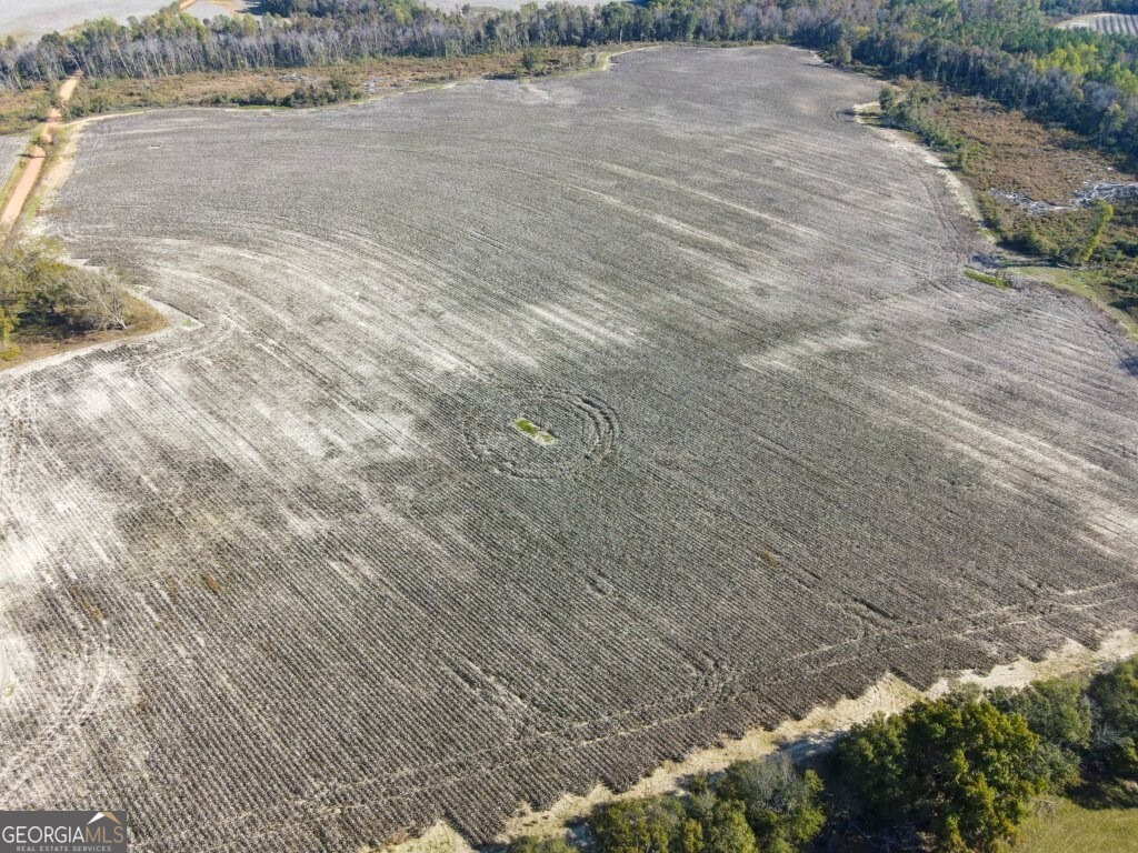 0 Bowen Hill Road Portal, GA 30450 - Photo 10 of 27 a view of a dry yard