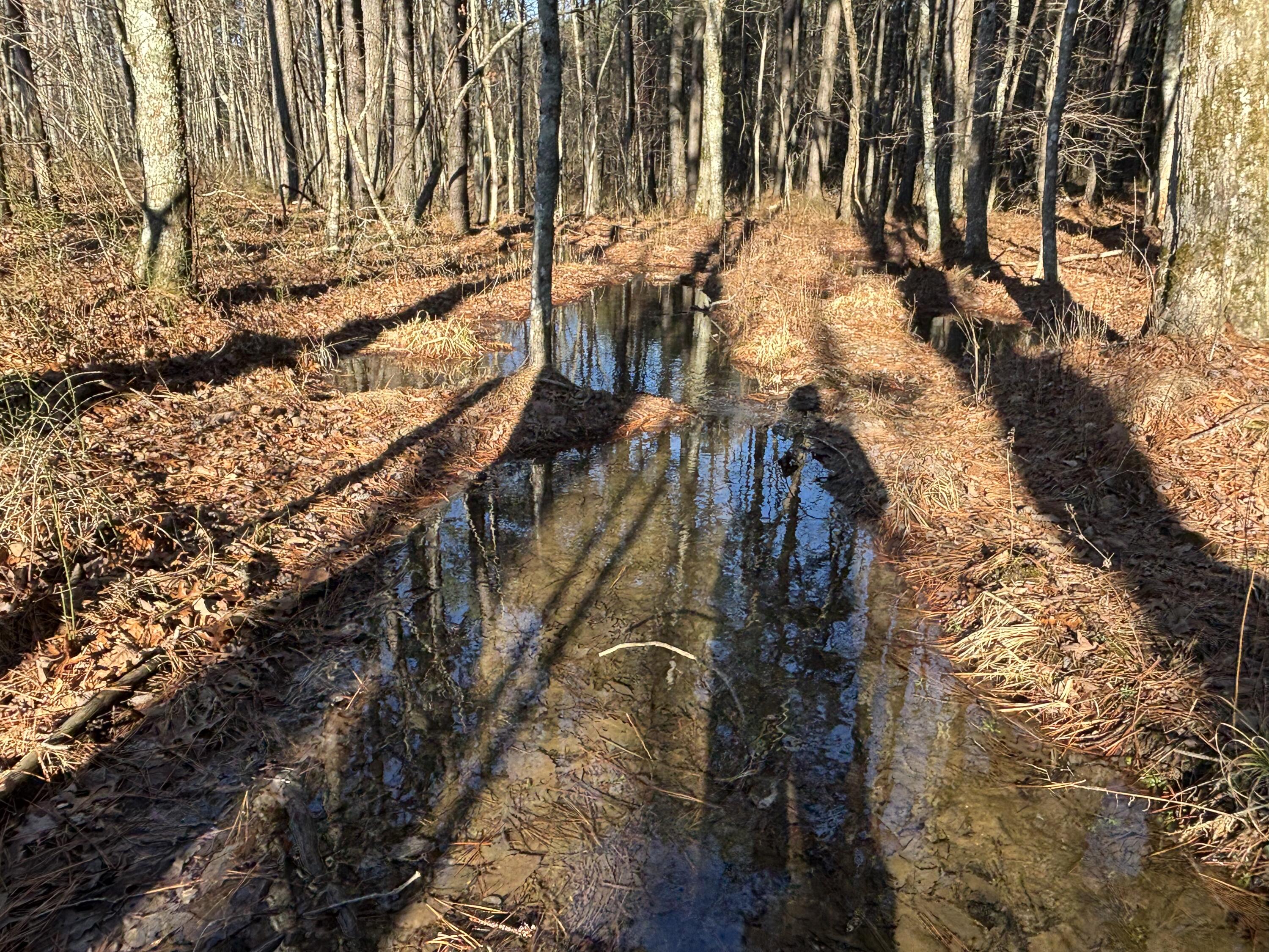 Photo Jan 13 2026, 9 38 41 AM