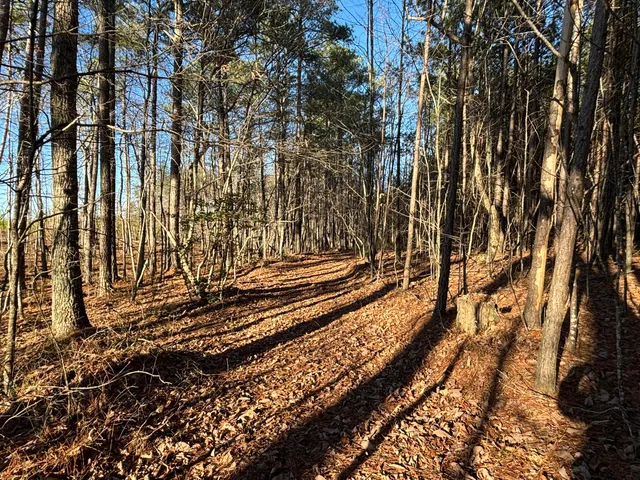 $180,000 | 12 Fredonia Road, Dunlap, TN 37327