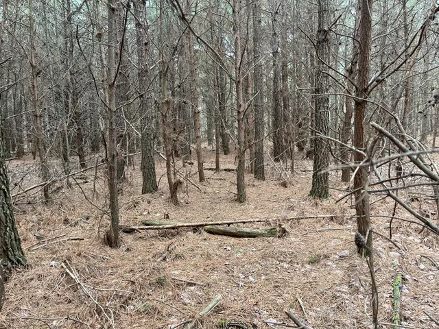 $180,000 | 12 Fredonia Road, Dunlap, TN 37327