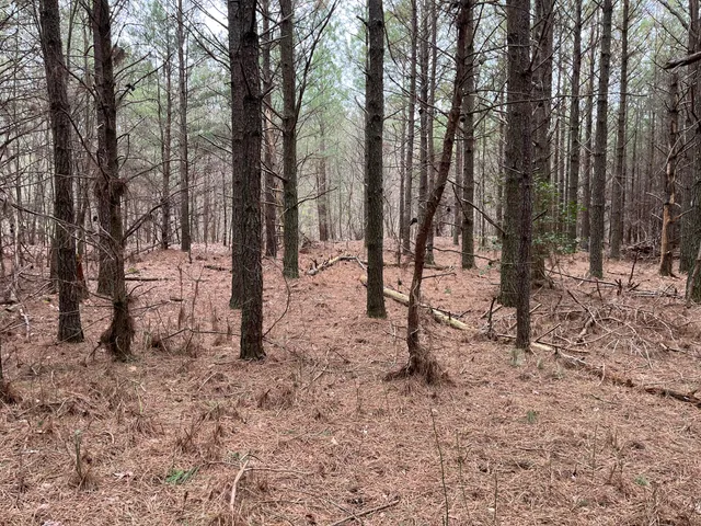 $180,000 | 12 Fredonia Road, Dunlap, TN 37327