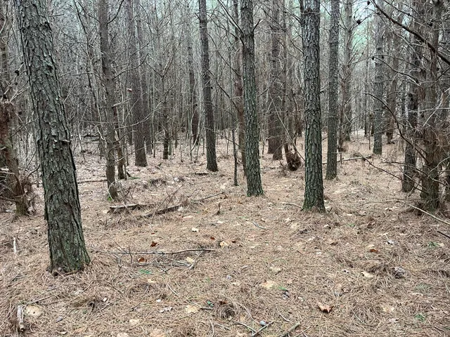 $180,000 | 12 Fredonia Road, Dunlap, TN 37327