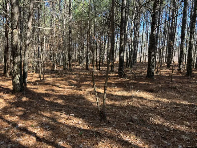 $180,000 | 12 Fredonia Road, Dunlap, TN 37327