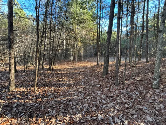 $180,000 | 12 Fredonia Road, Dunlap, TN 37327