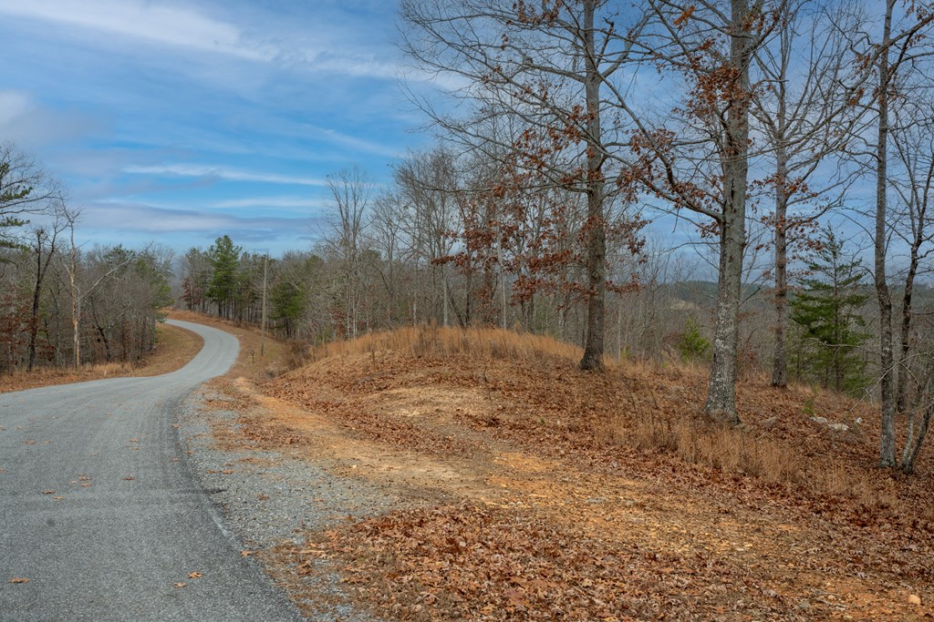Lot 5 Blalock Mountain Road Talking Rock, GA 30175 - Photo 7 of 22