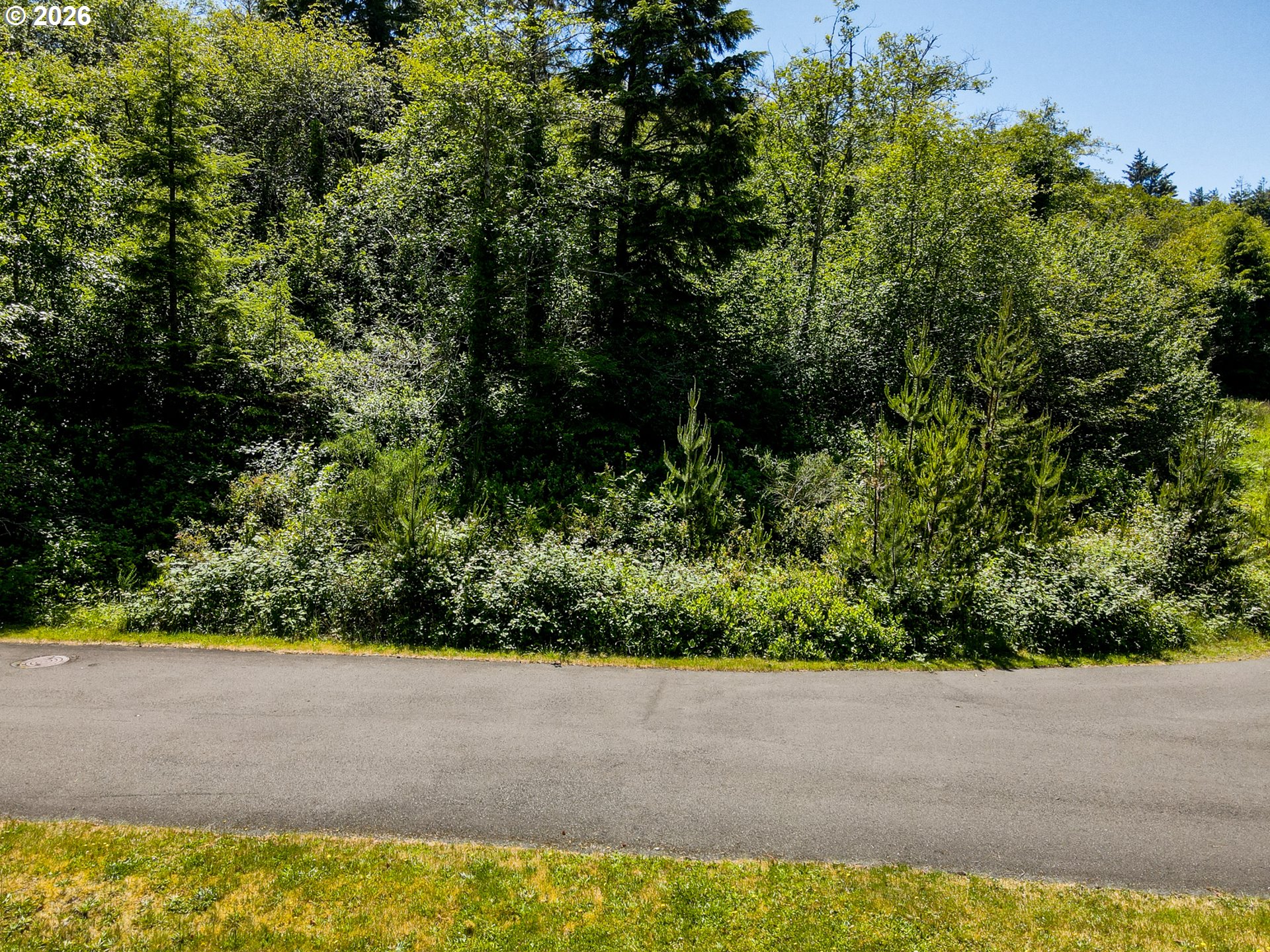 15 Dewolf Road, Unit LOT 15 Nehalem, OR 97131 - Photo 12 of 25