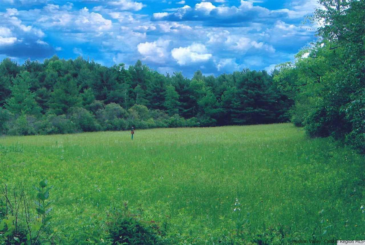 53 Pine Valley Road Greenville, NY 12083 - Photo 25 of 35 a view of a grassy field