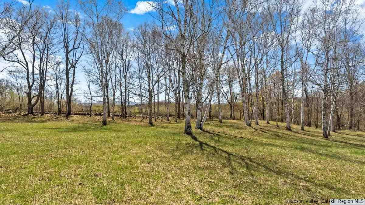 53 Pine Valley Road Greenville, NY 12083 - Photo 28 of 35 a view of grassy field with trees