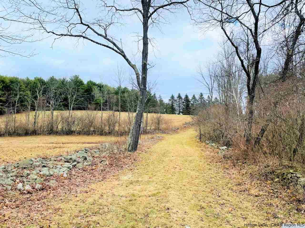 53 Pine Valley Road Greenville, NY 12083 - Photo 29 of 35 a backyard of a house with lots of green space
