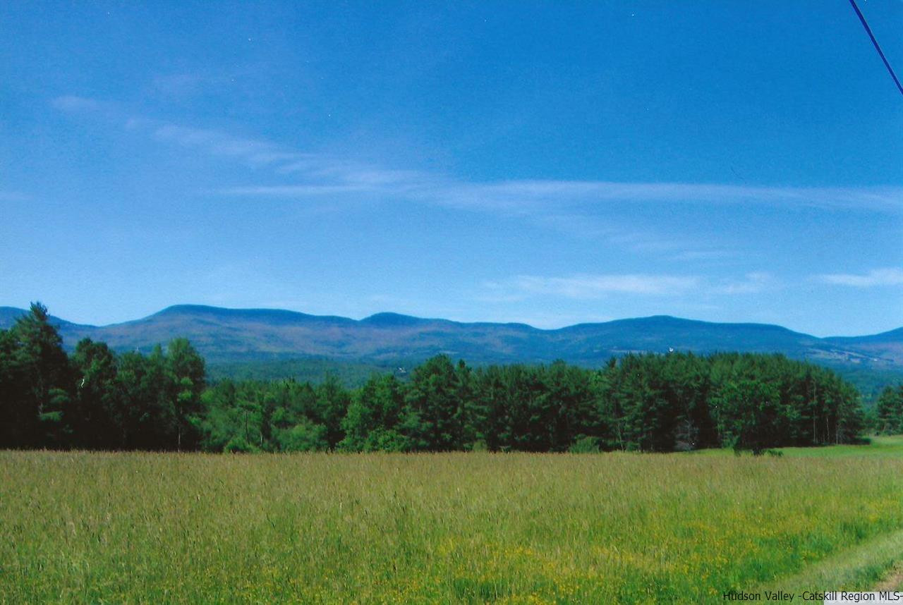 53 Pine Valley Road Greenville, NY 12083 - Photo 3 of 35 a view of an mountain