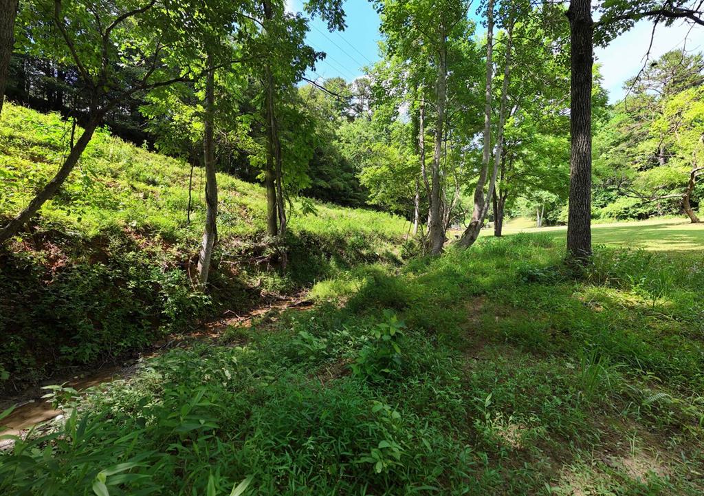 4149 Hardscrabble Road Mineral Bluff, GA 30559 - Photo 37 of 41 Gallery Image 37