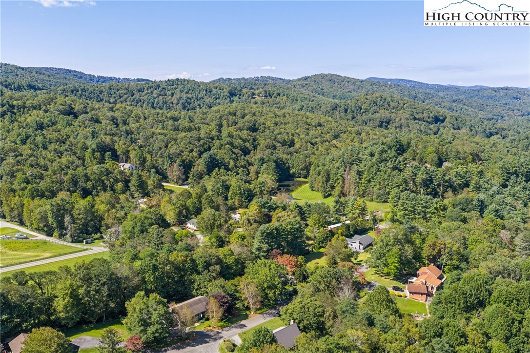 239 Deerfield Estates Road Boone, NC 28607 - Photo 40 of 45 a view of a lush green forest with trees and some houses