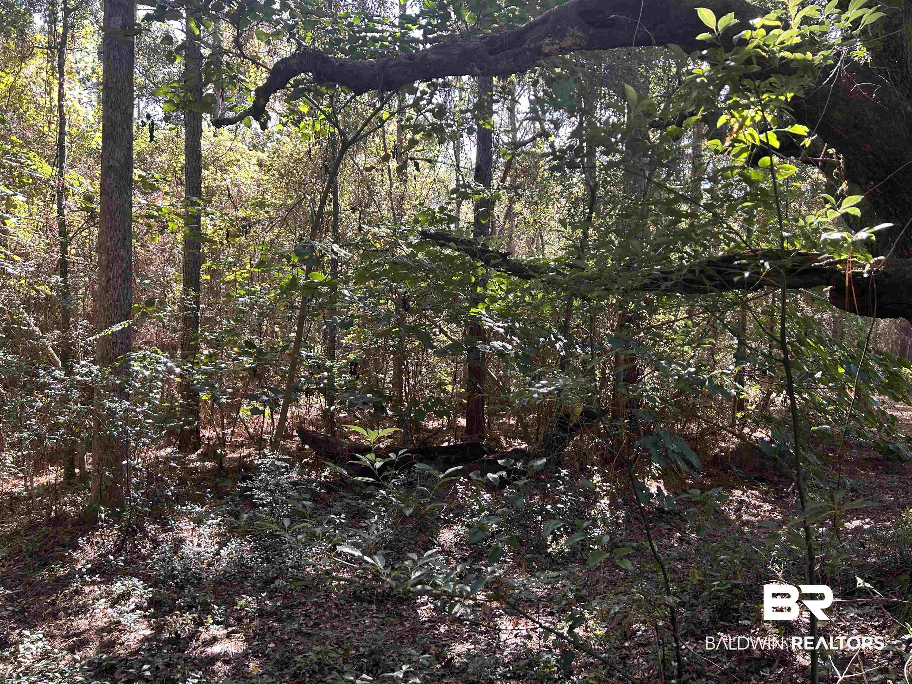 0 New Neck Road Mobile, AL 36695 - Photo 1 of 4