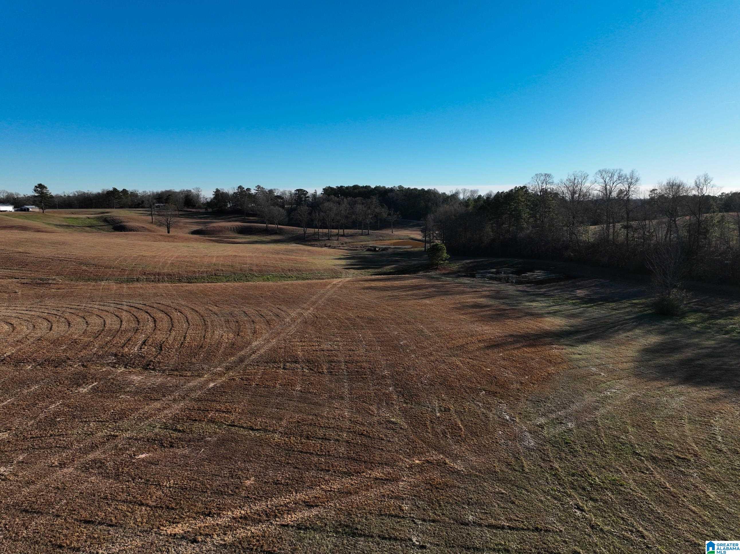 0 Old West Road Thorsby, AL 35171 - Photo 5 of 7