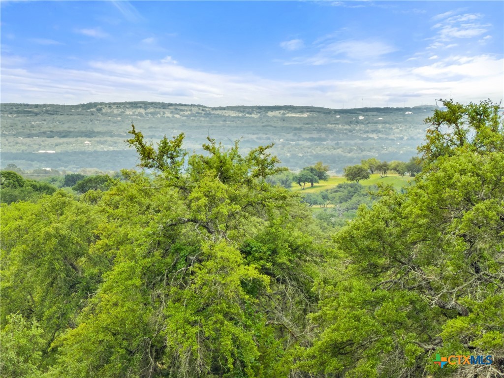 428 Summit Spring Lane Johnson City, TX 78636 - Photo 11 of 33