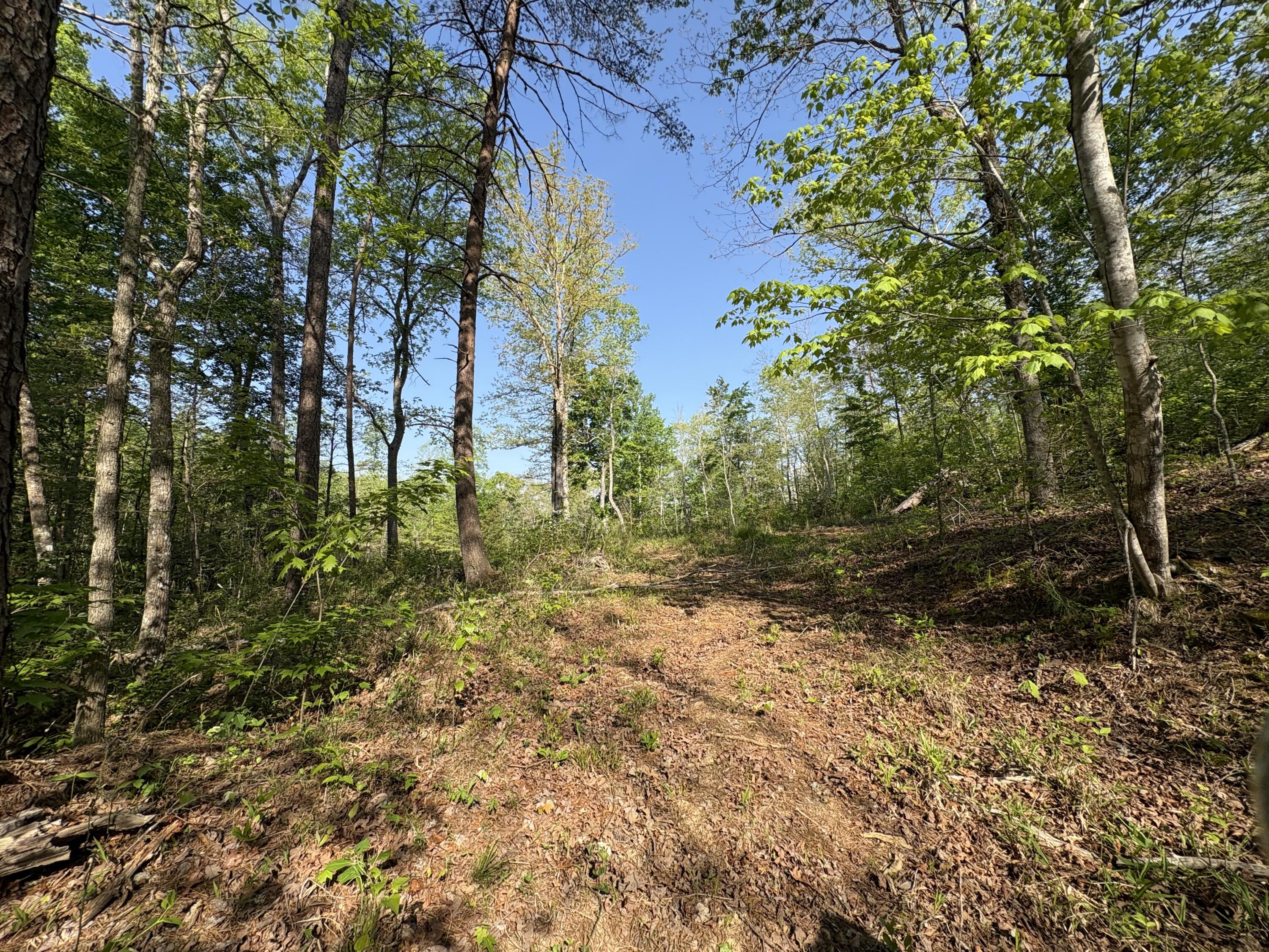 10 Rawlings/upper Rader Road Manchester, KY 40962 - Photo 8 of 11 IMG_2687