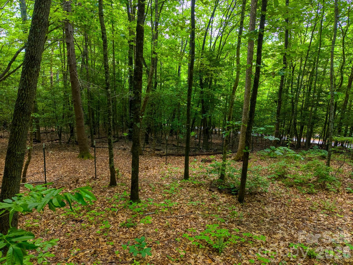 243 Jonquil Wds Road Franklin, NC 28734 - Photo 41 of 48
