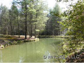 764 Oscar Chappell Road Brevard, NC 28712 - Photo 17 of 21 a view of swimming pool