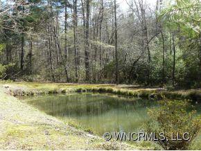 764 Oscar Chappell Road Brevard, NC 28712 - Photo 18 of 21 a view of swimming pool with a yard and trees