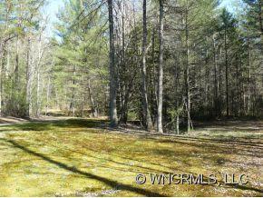 764 Oscar Chappell Road Brevard, NC 28712 - Photo 20 of 21 a view of swimming pool with a yard and large trees
