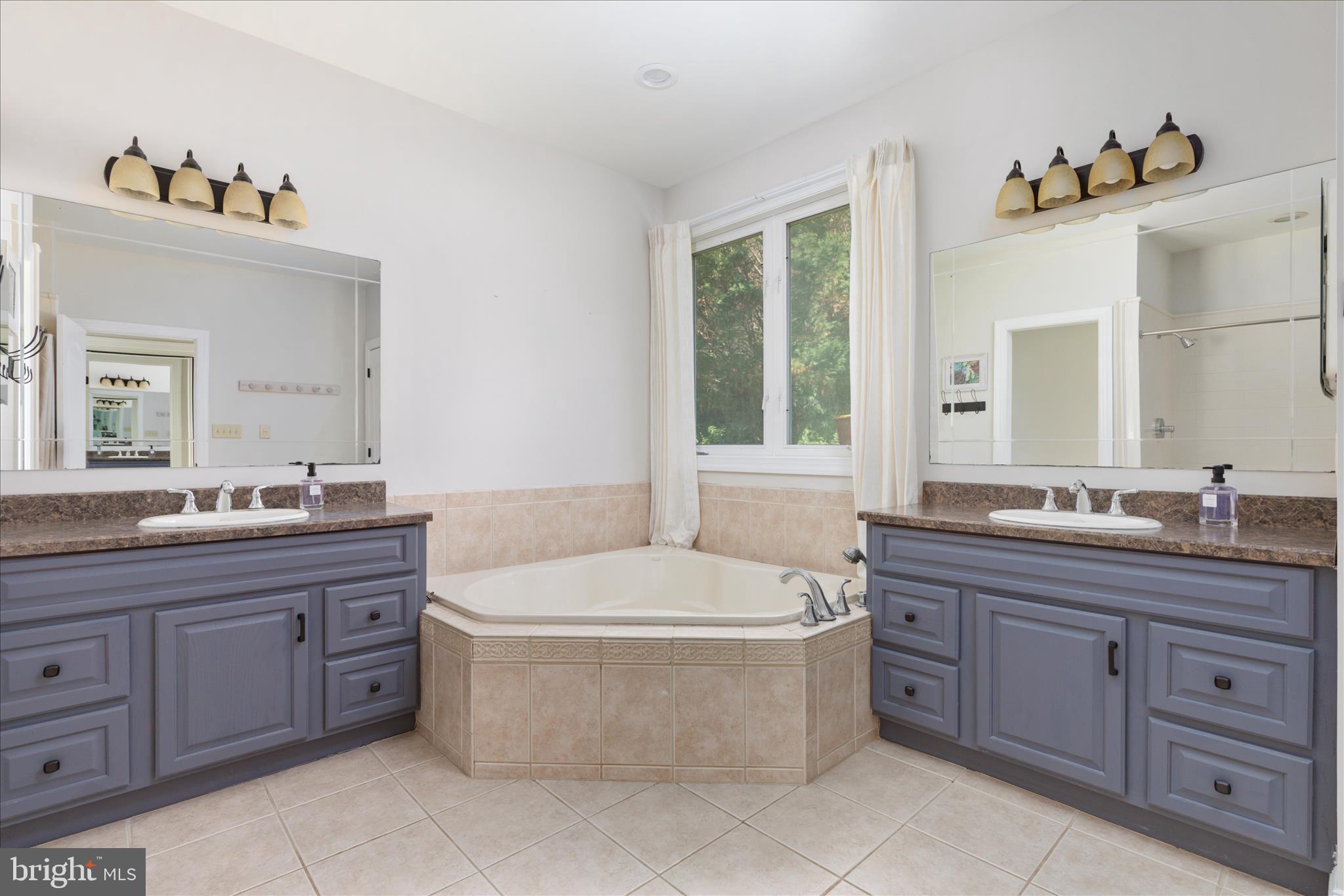 1355 Wilt Road Charles Town, WV 25414 - Photo 32 of 113 Large en-suite with soaking tub