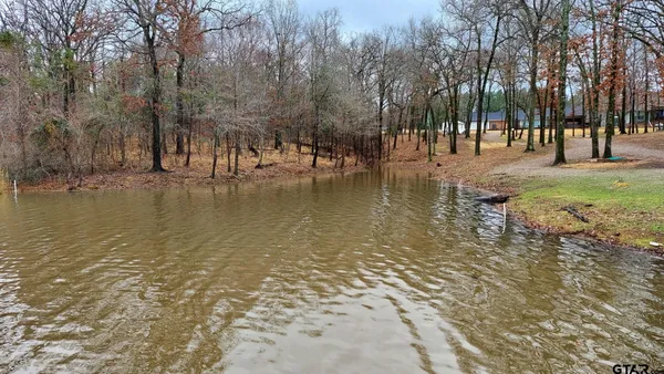 a view of a water with trees