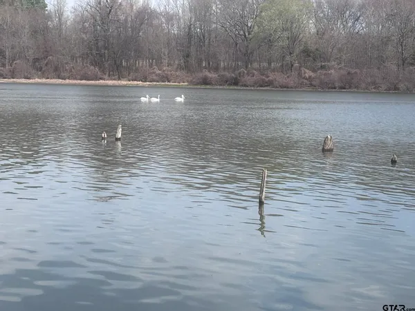 a view of a lake view