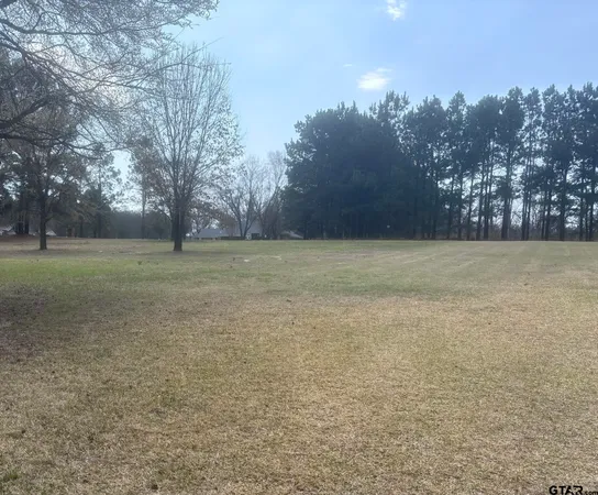 a view of a field with trees in background