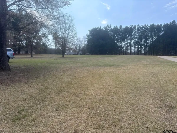 a view of outdoor space with green field and trees