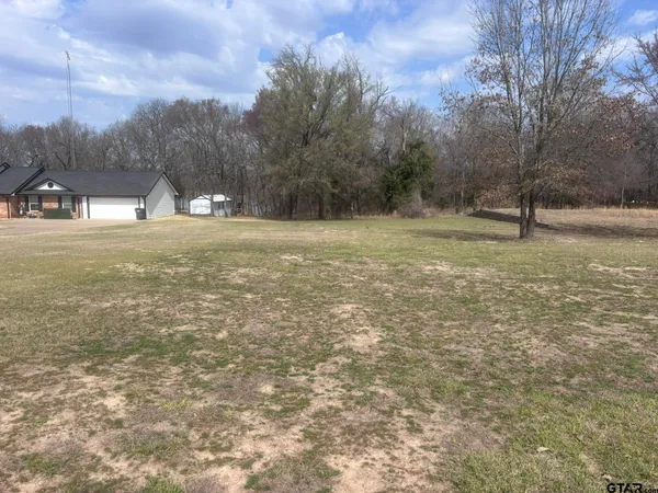 a view of a field with trees in the background