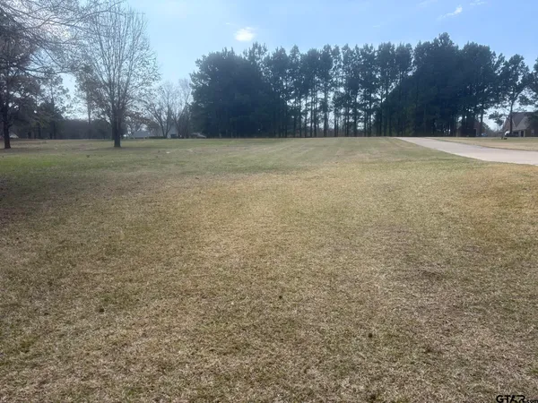 a view of a field with trees in background