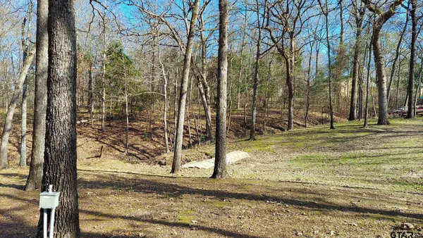 a view of a yard with large trees