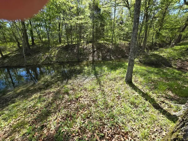 a view of yard